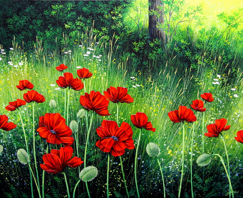 Poppies  daisies Poppies  daisies